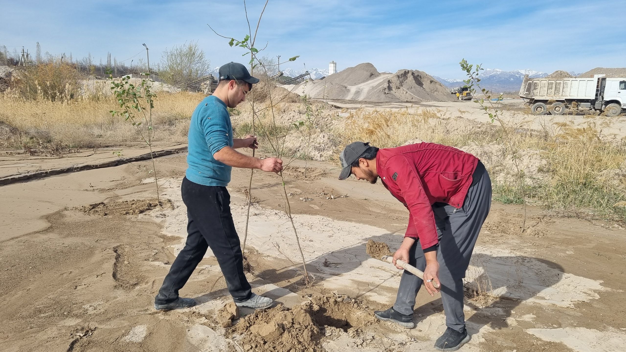 Bir tup – bir hayot: Uchastka muhofaza mintaqalariga mevali va manzarali daraxt ko‘chatlari o‘tkazildi
