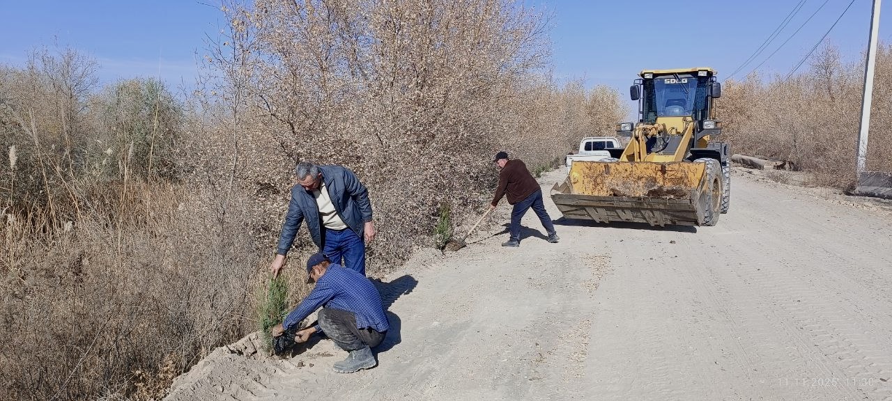  Amudaryo qirg‘oqlarida yashil nafas!